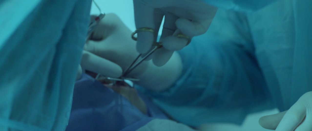 dental implants / oral rehabilitation